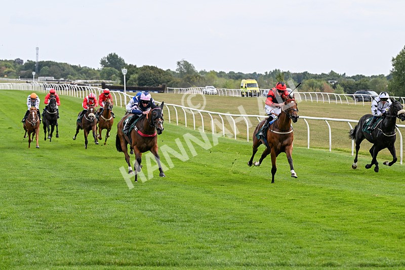 260826-Race 1-Mugheer-2129 - Race 1 14:15 Yorkshire Dales Distillery / EBF Restricted Maiden Stakes