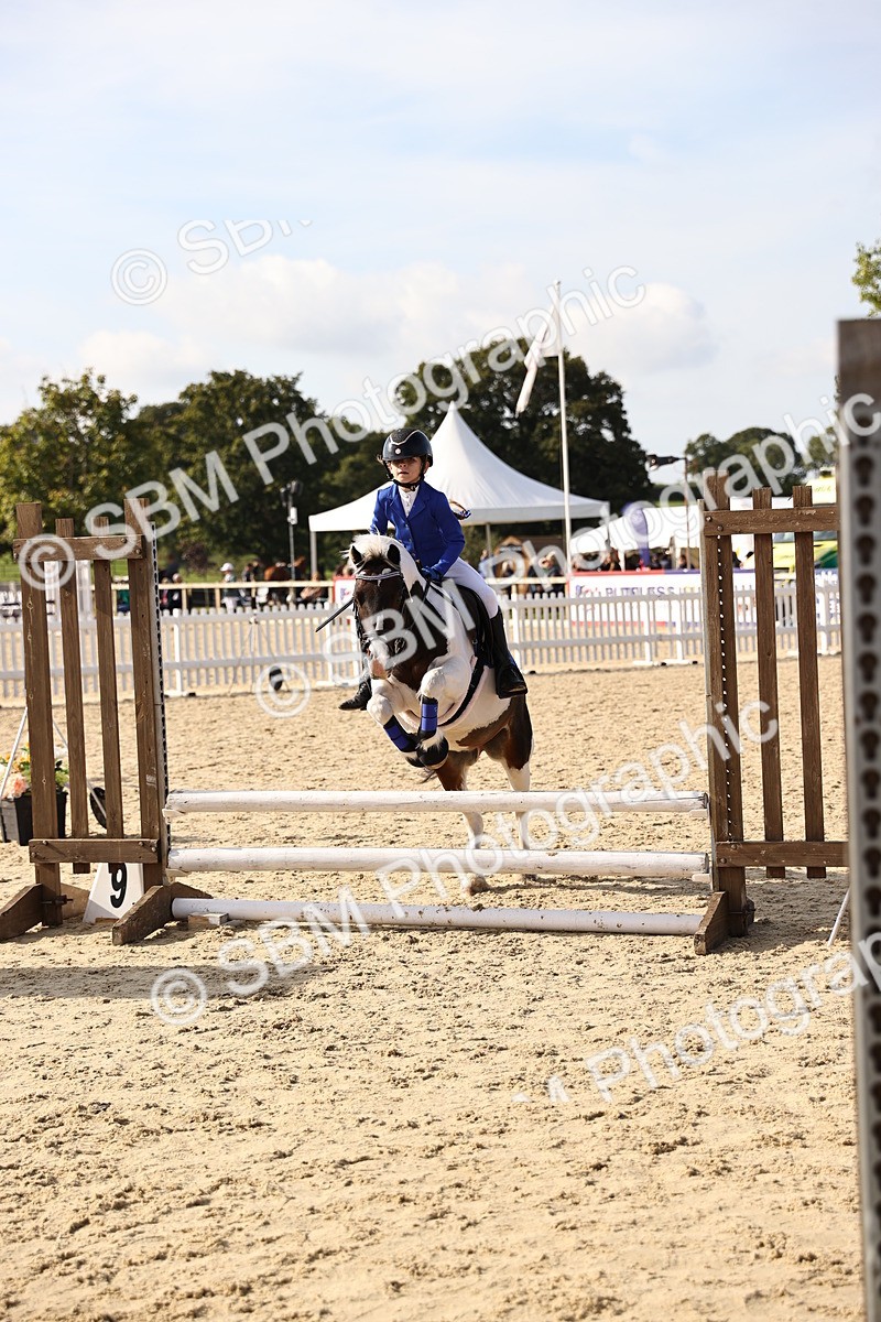 SBM_61904 - J12 - Junior Pony 55cm Championship
