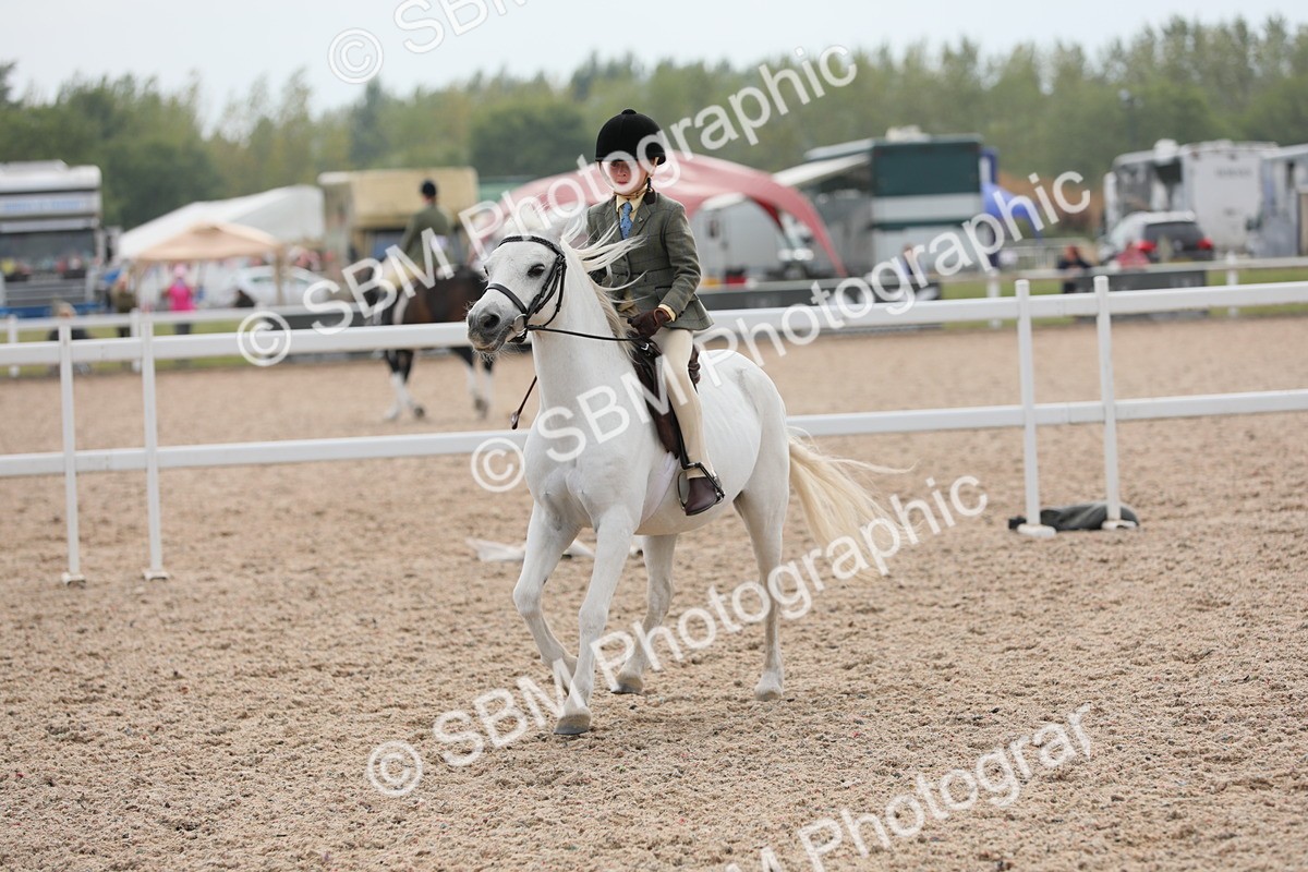 SBM_16932 - Class 314 Family Horse/Pony