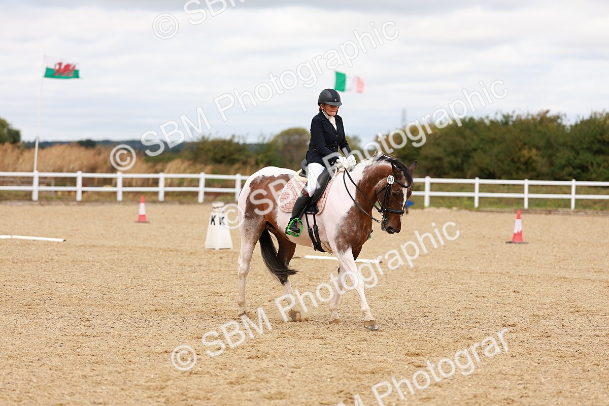 SBM_001876 - Class 5-6 - Novice 3-Elem 3