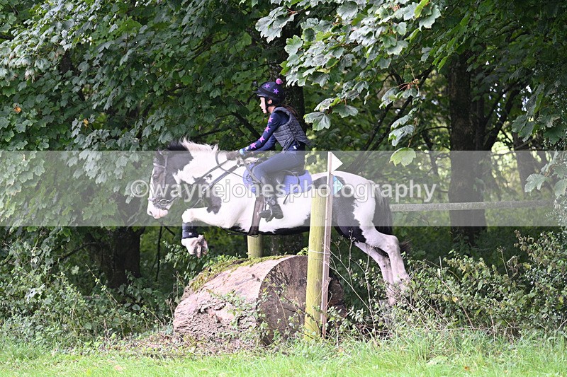 WJ7_8232 - Time 14:11 to 14:30