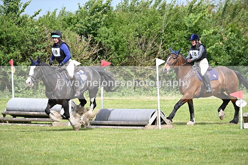 WJ6_2744 - Class 3 60cm Pairs