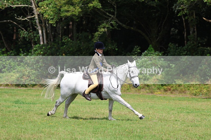 3E7A6090 - Working Hunter Championship