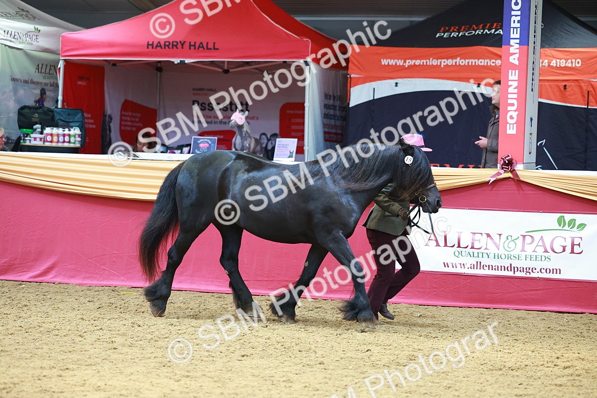 SBM_04201 - Class 9R - IH Pre-Vet