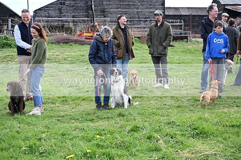 WJ6_8569 - Class 6 Best Rescue