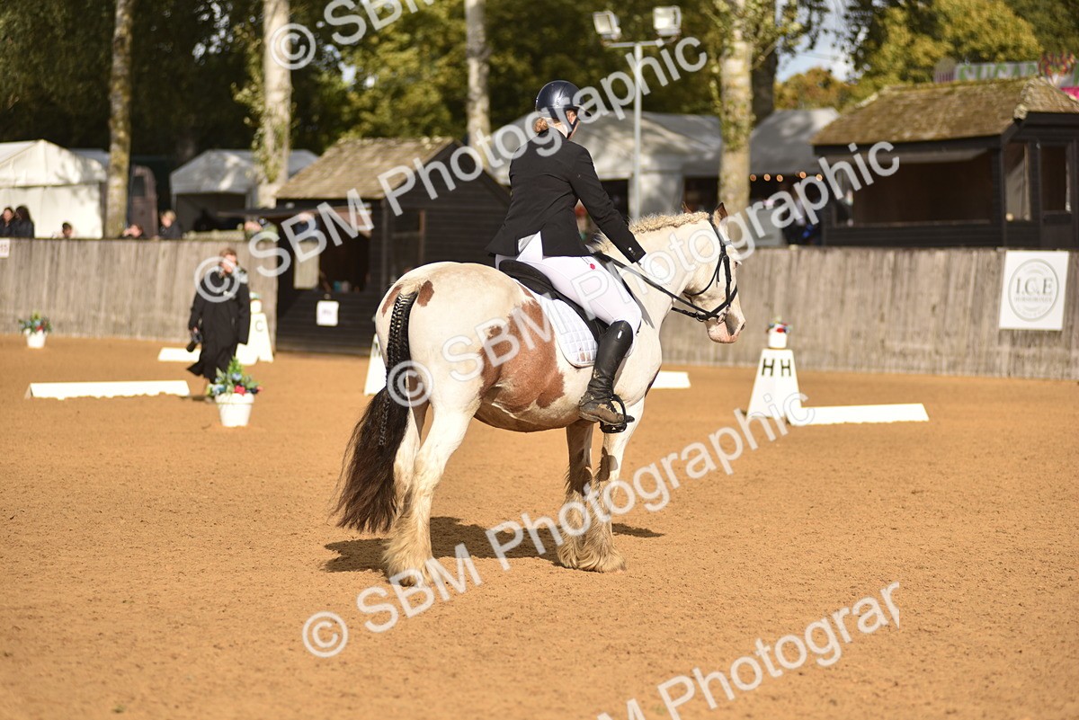 SBM_48878 - D22 - Junior Championship Intro 3