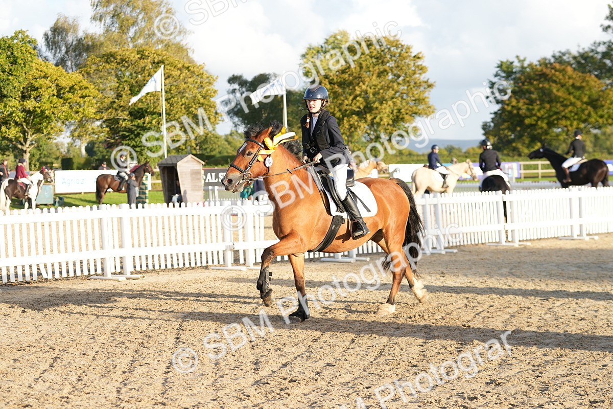 SBM_29562 - J44 - Horse & Hound Open 70cm