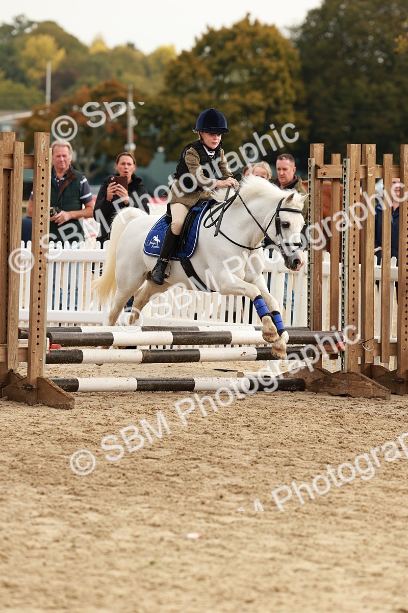 SBM_55785 - J11 - Junior Pony 50cm Championship