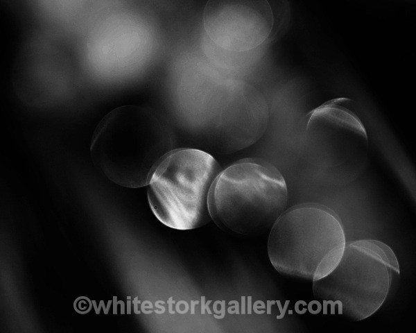  - Slow Photography