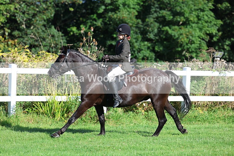 3E7A7604 - Class 1: Novice Working Hunter Pony