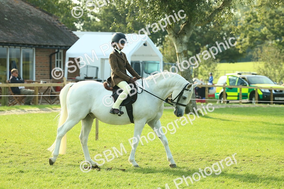 SBM_59811 - S38 - Starters Ridden Showing