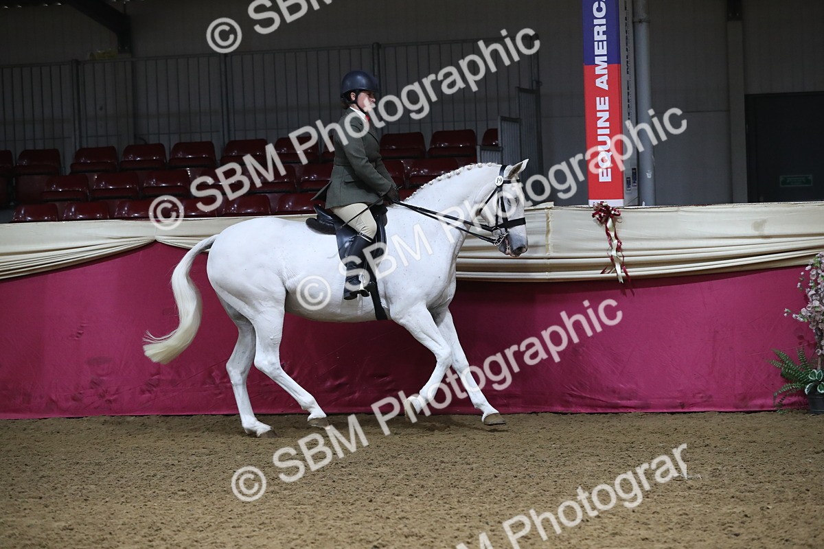 SBM_10352 - Class 102 Equitation (best rider) Adult