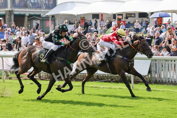 yr05092021rP-47 - Pony Races 138 and 148 cm