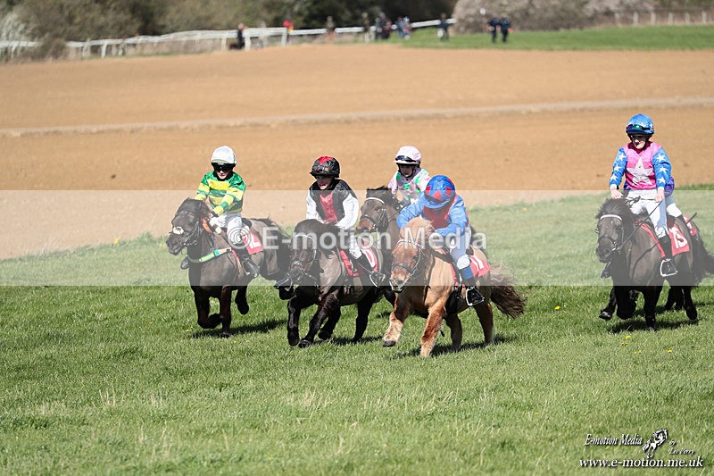 Shet 060426 261 - Shetland Pony Racing Paxford Races Easter Mon 06/04/26