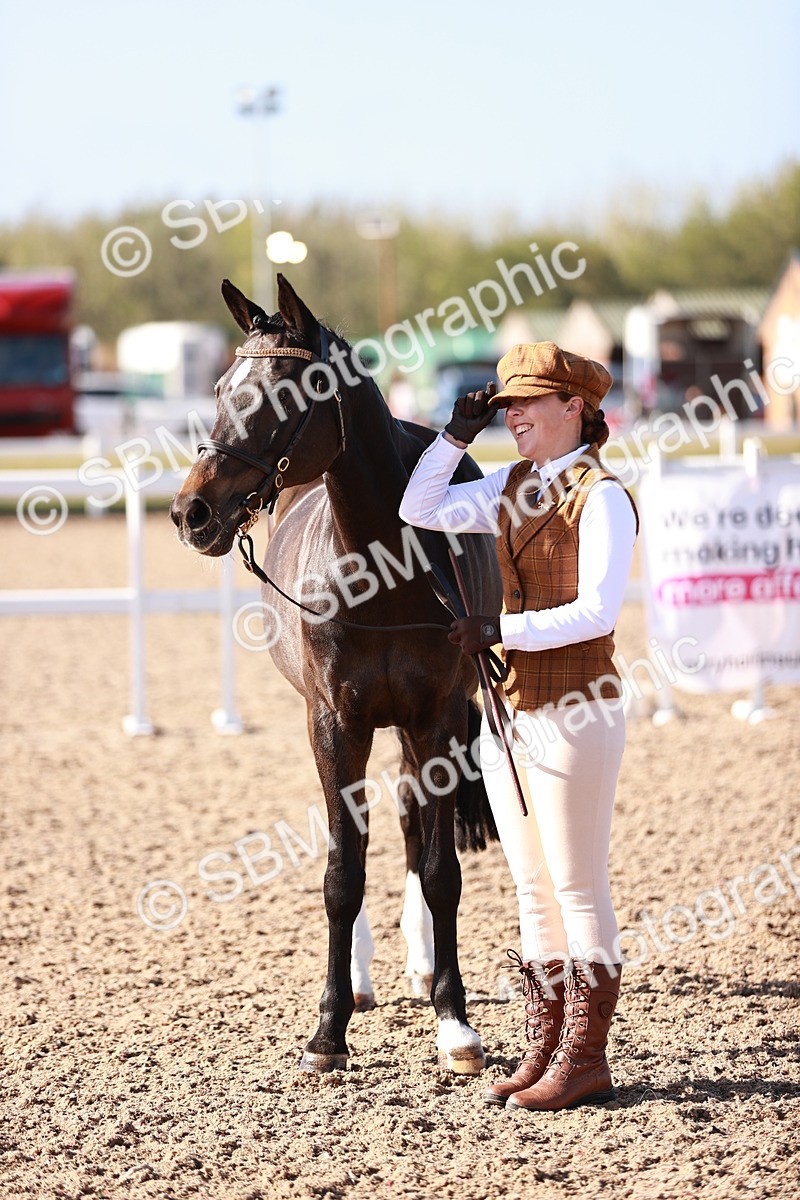 SBM_22021 - Class 702 - IH Show Horse-Pony