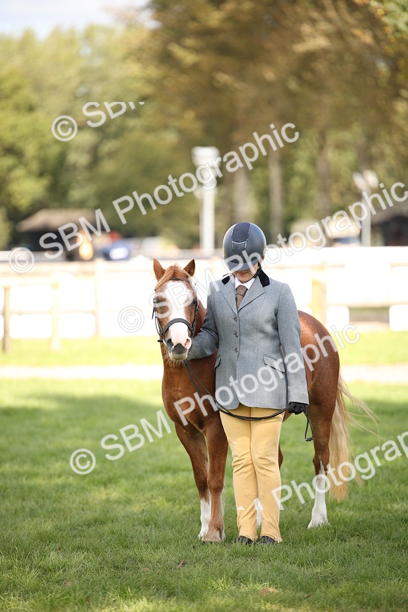 SBM_44454 - S24 - Young Veteran in hand