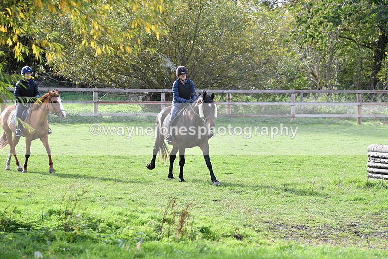 WJ5_1190 - Time 14:29 to 15:31