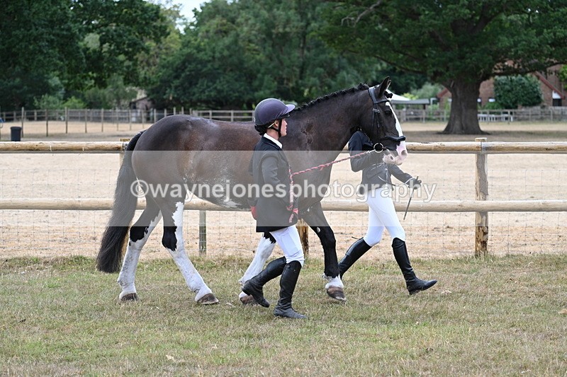 WJ7_8941 - Class 4a Prettiest Mare 14.2hh and over