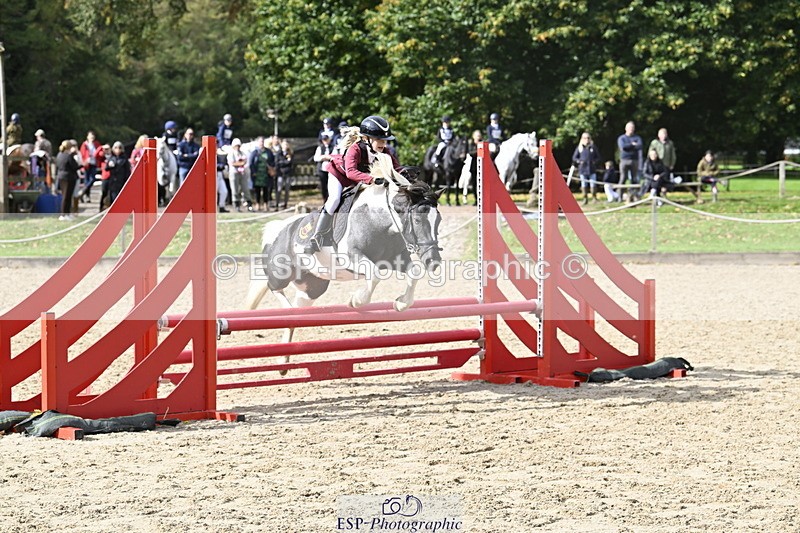 251005A-122157-03742 - Cls 08 Mini 70-75cm