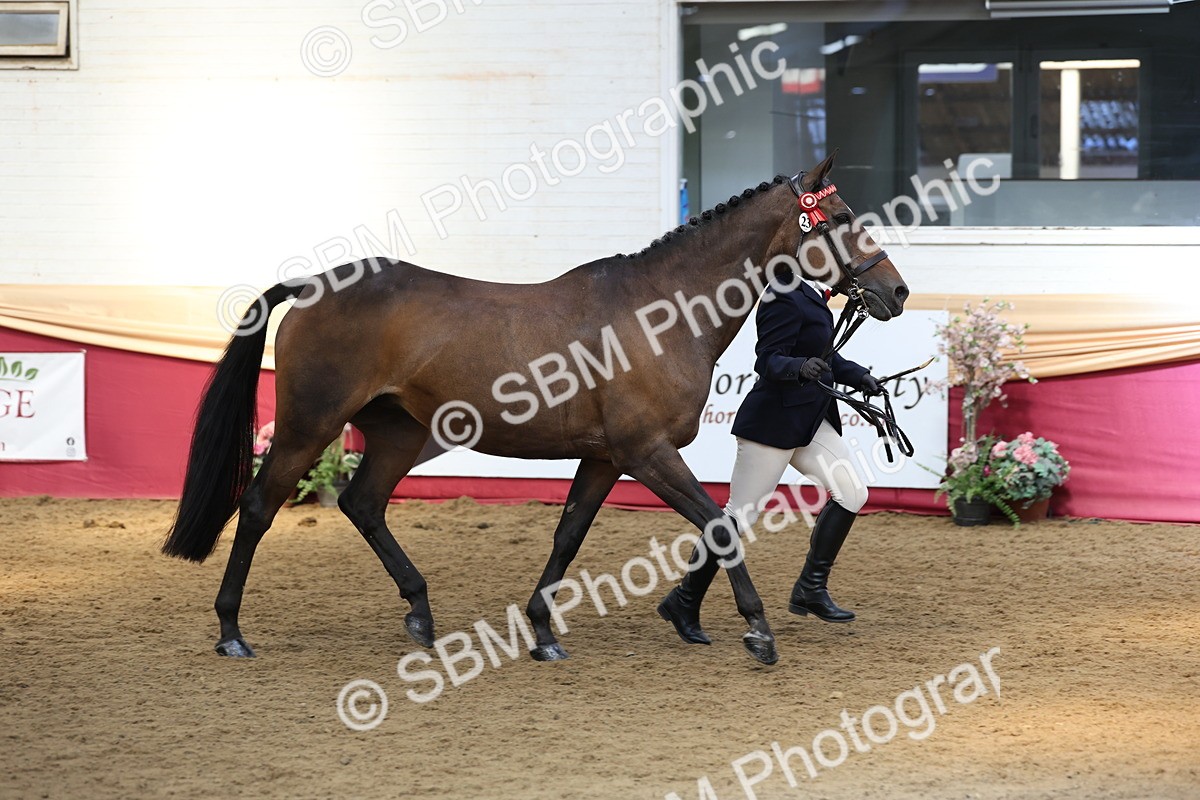SBM_24133 - Class 905 - Supreme Final - Ridden Veteran