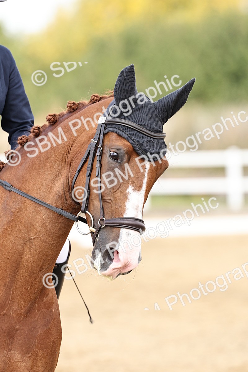 SBM_018246 - Class 16 - Novice 5 - 11.12-12.01