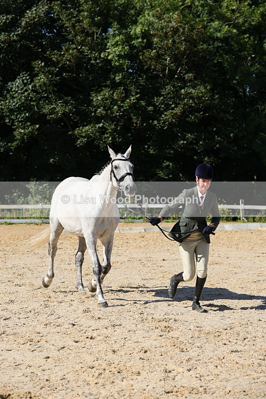 1X9A7827 - Class 9: Open Ridden Hunter