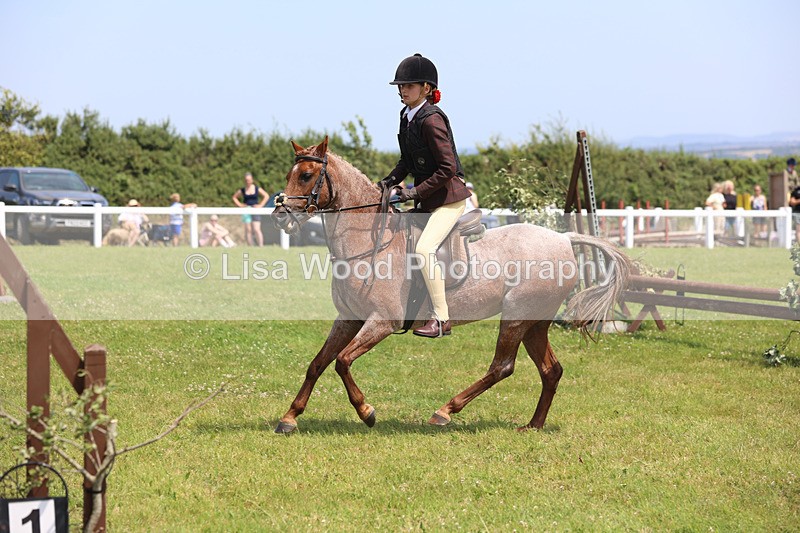 JPP_2436 - Class 21: Working Hunter 60cm