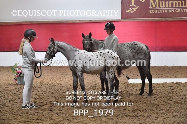 BPP_1979 - AFTERNOON 12.30 - 3.30PM