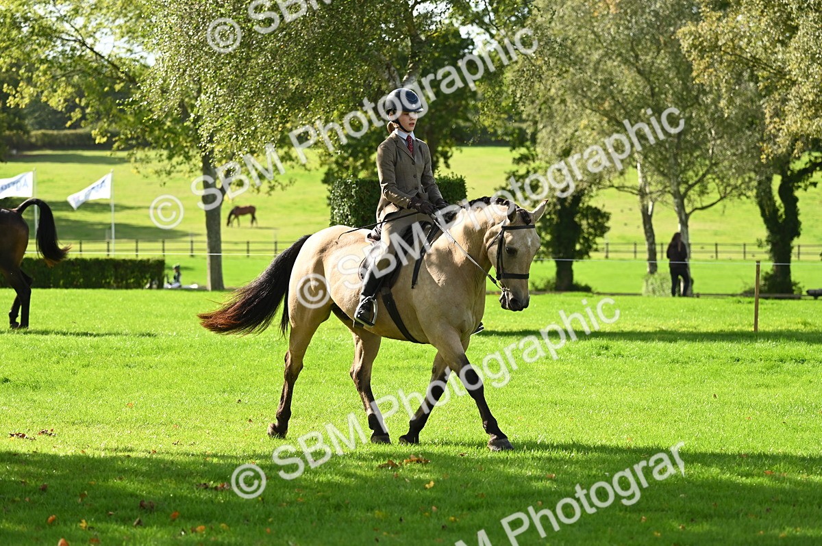 SBM_01512 - S2 - TSR Ridden Horse Showing