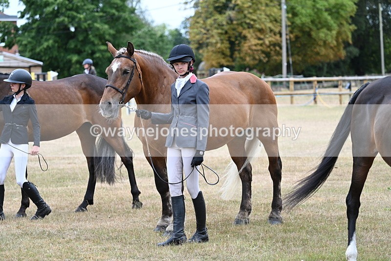 WJ7_9195 - Class 4a Prettiest Mare 14.2hh and over
