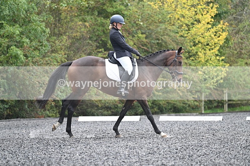 WJ7_3904 - Time 11:04 to 11:38