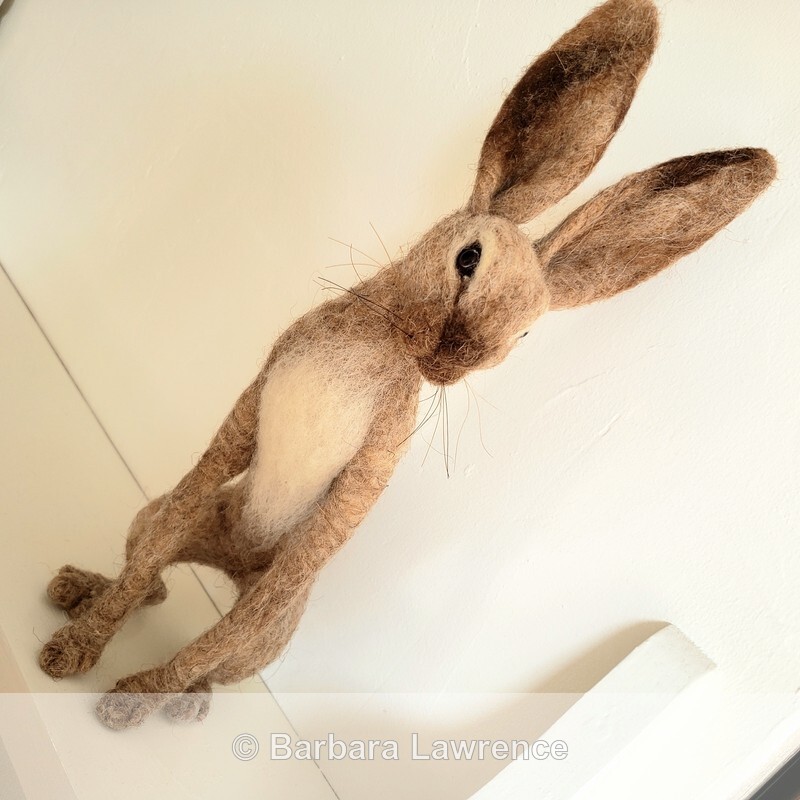 Seaterd hare. Photo 2. - Gallery