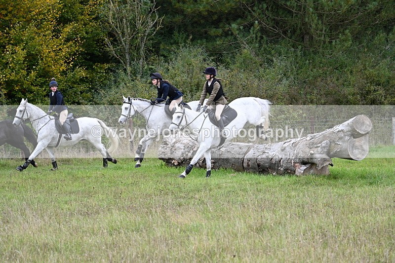 WJ7_3828 - Camera 1 Line 1