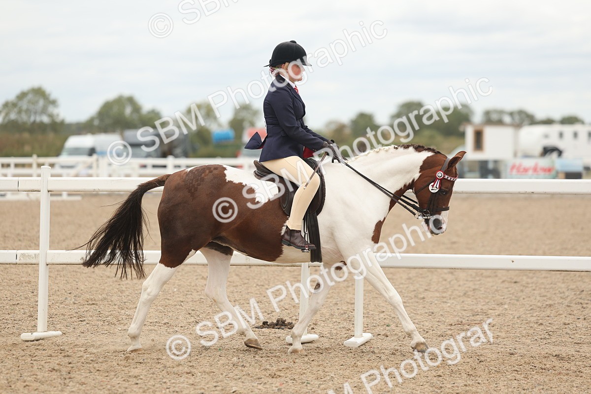 SBM_19118 - Class 316 - Best Pony-Rider Combination
