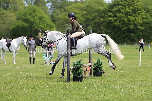 IMG_3108 - Working Hunter