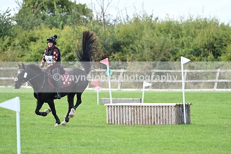 WJ7_8349 - 60cm Pairs