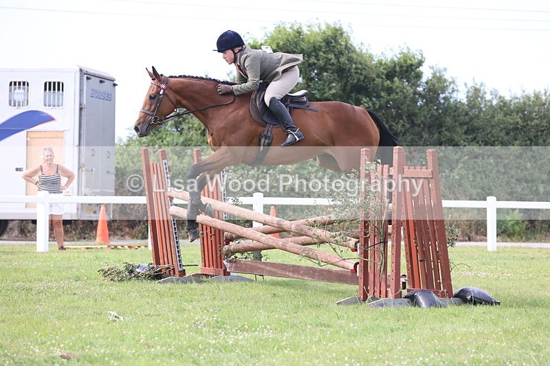 JPP_4209 - Class 25: Working Show Horse