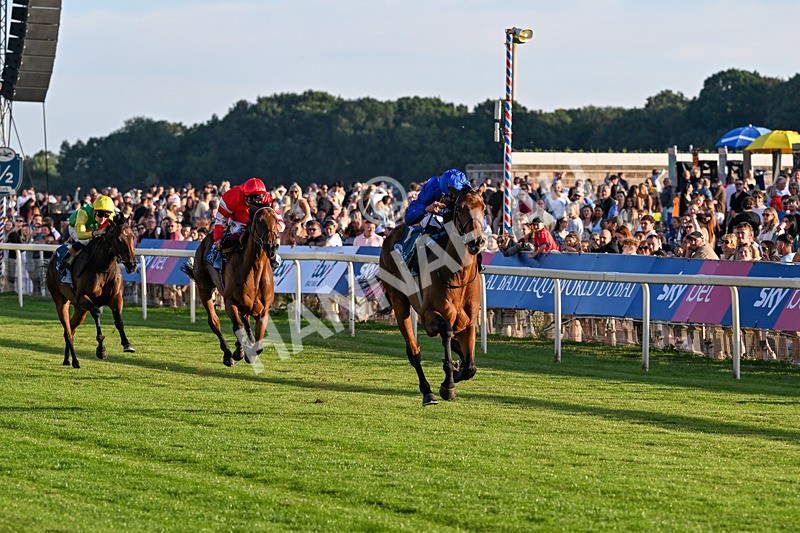 240726-Race 5-Diamond Rain-5479 - Race 5 19.50pm British EBF Lyric Fillies' Stakes