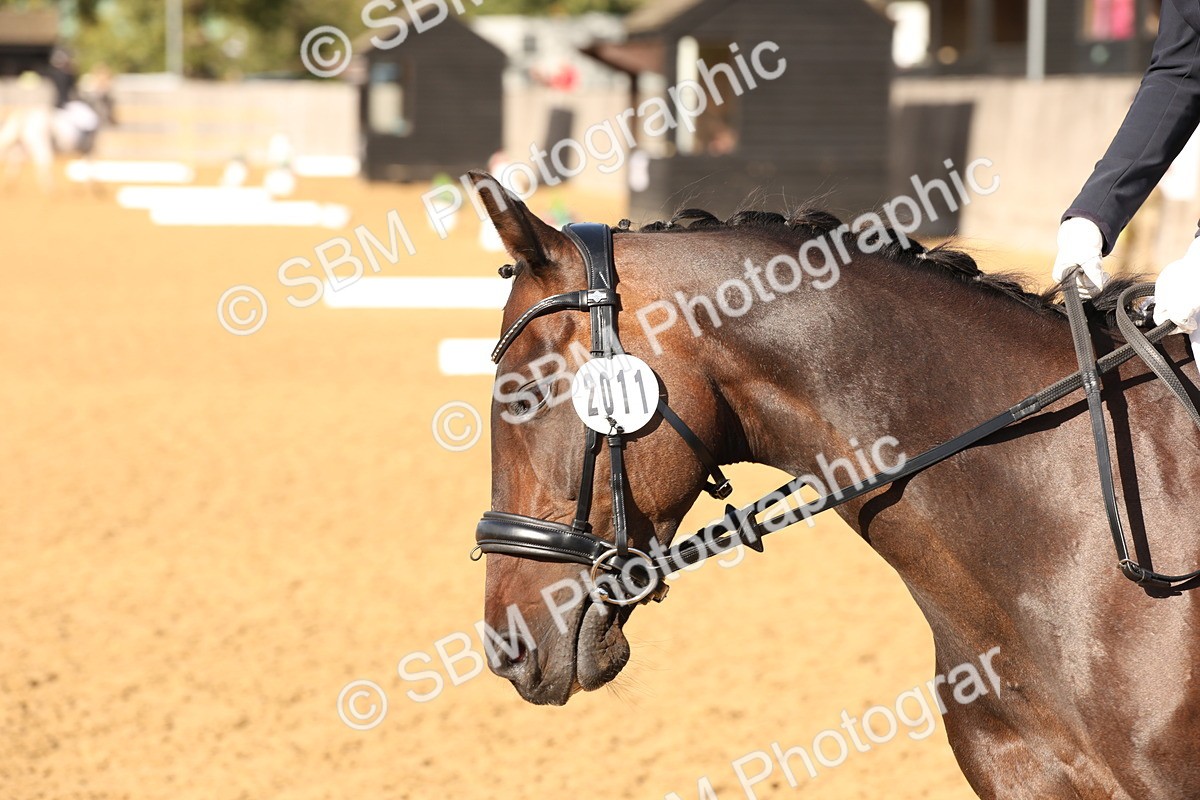 SBM_50486 - D12 - Small Tour Championship prelim 2