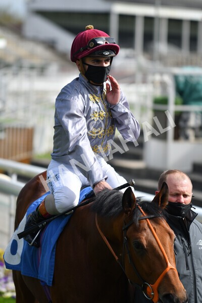 yr13052021r6-24 - Race 6 4.15pm Constant Security EBFstallions.com Maiden Stakes