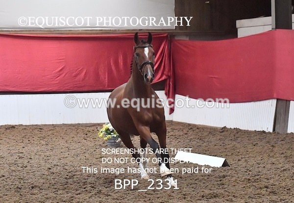 BPP_2331 - AFTERNOON 12.30 - 3.30PM