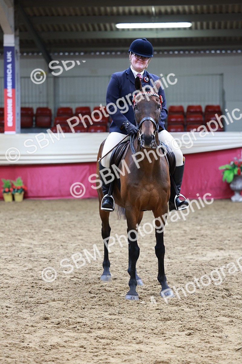 SBM_14992 - Class 108 - Ridden Retired Racehorse