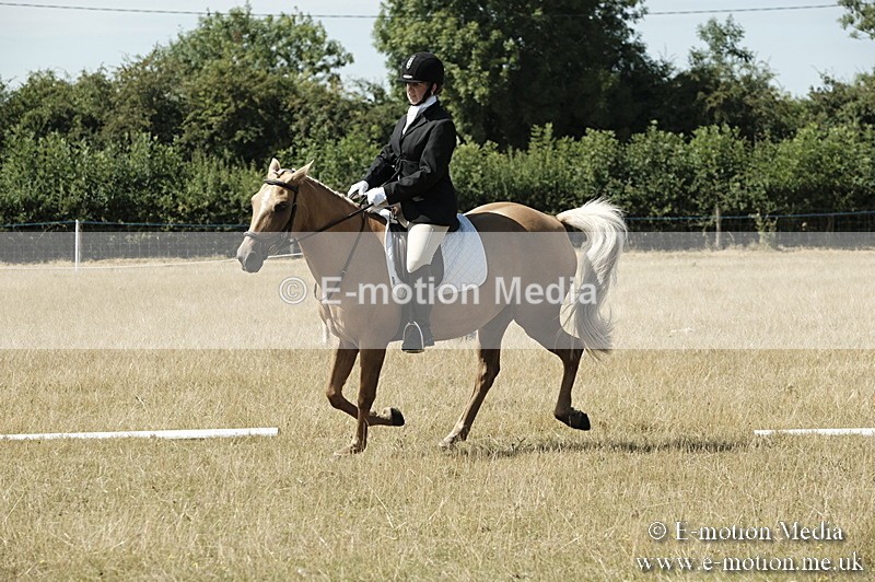 _PJP5806 - Dressage Classes BVRC Show 2018