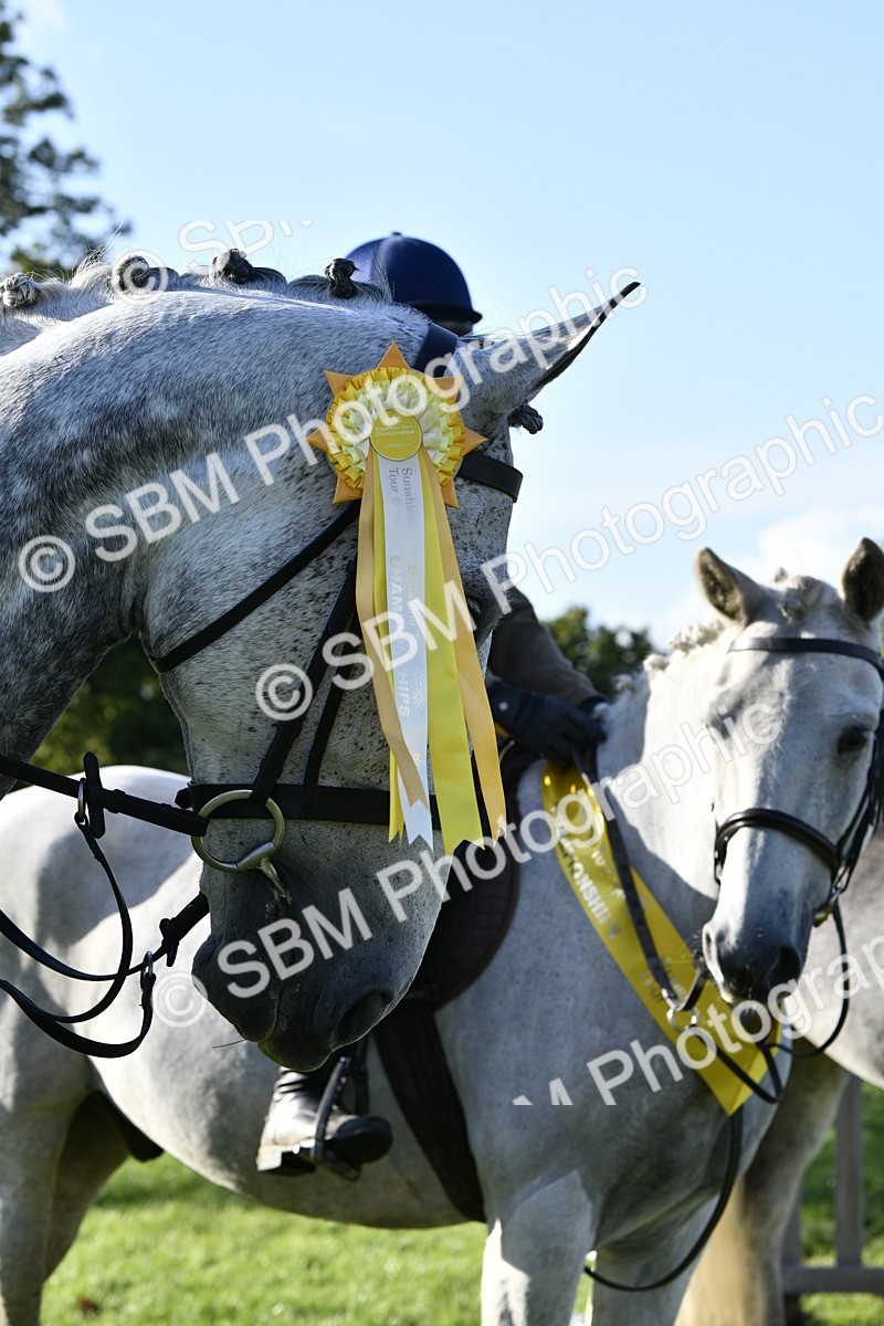 SBM_52263 - S35 - Working Hunter & Working Show Horse