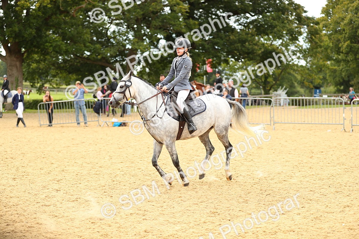 SBM_71364 - J18 - Junior Pony 85cm Championship