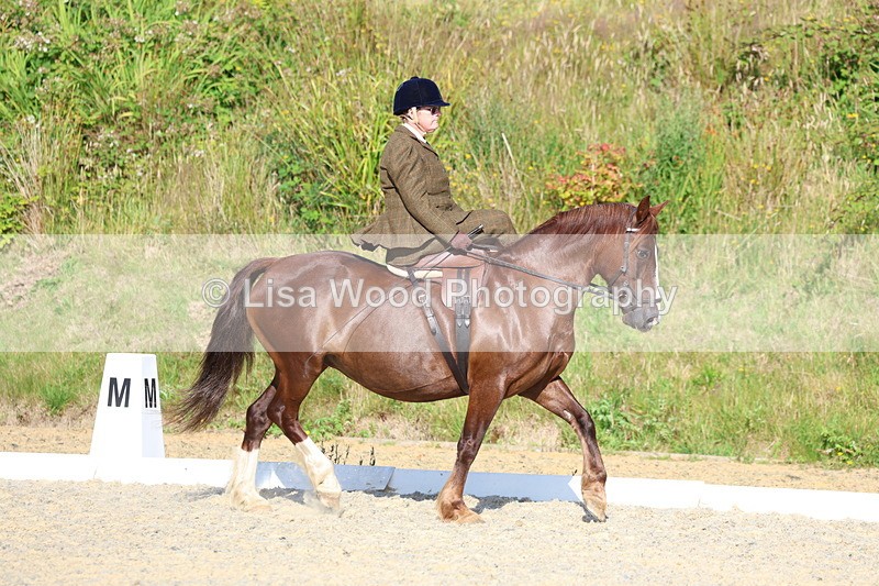 3E7A3442 - Class 2: Intro 1 2024 Section B