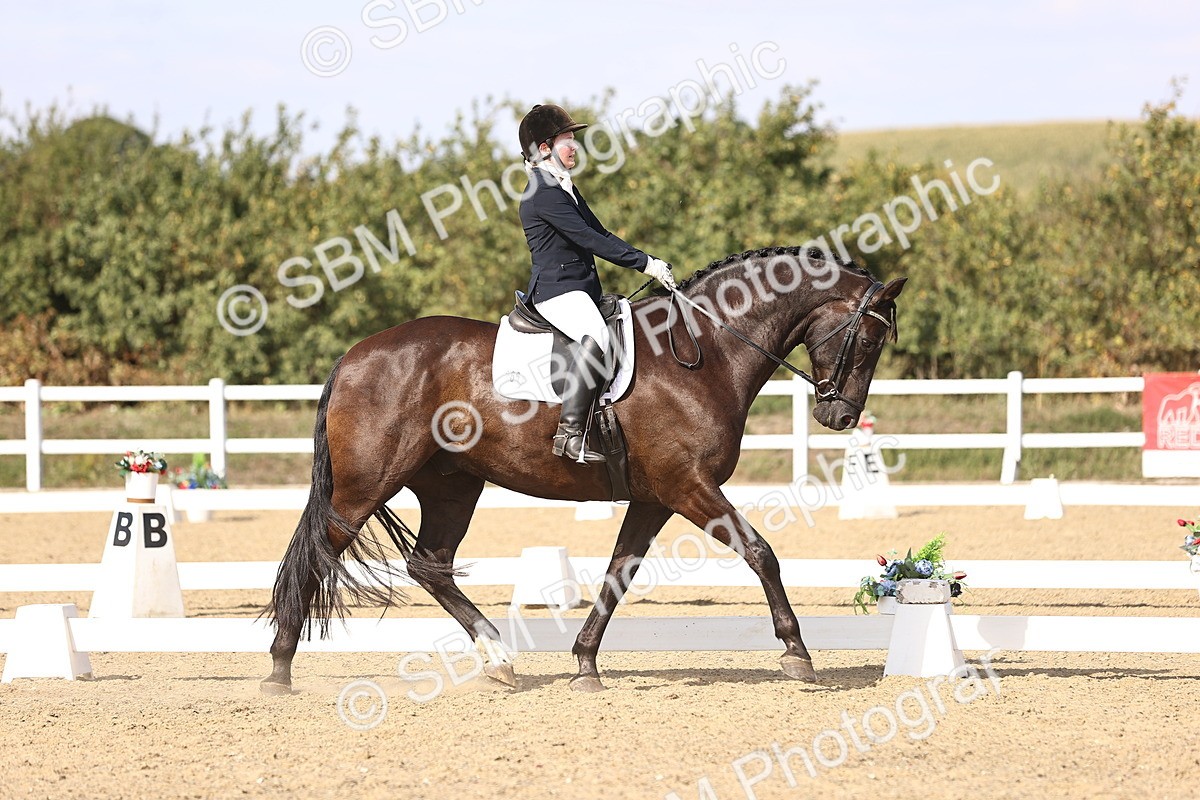 SBM_015223 - Class 8 - Medium 5