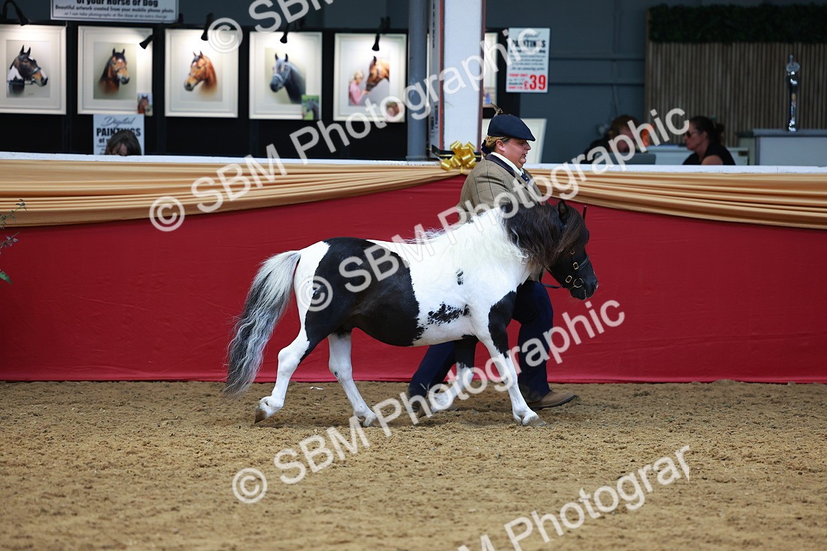 SBM_04204 - Class 9R - IH Pre-Vet