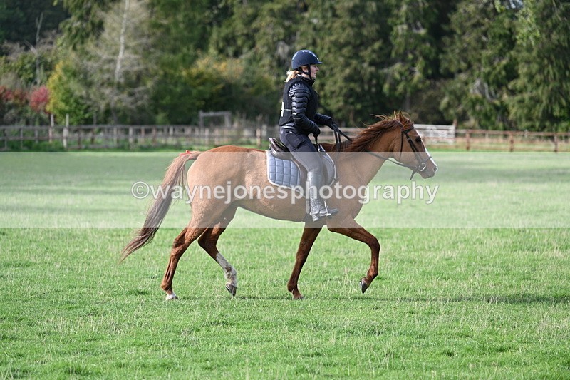 WJ7_1117 - Time 14:27 to 15:11