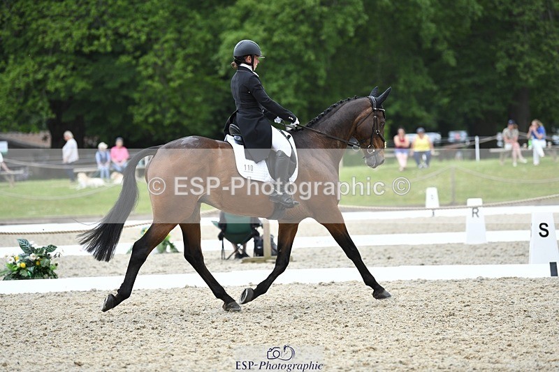 230525-124203-02015 - 110-SAM-Zoe_Boyles-WEDTrotUp+DR